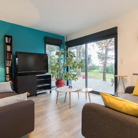 Le cedre bleu Saint Jean de Luz